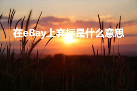 璺ㄥ鐢靛晢鐭ヨ瘑:鍦╡Bay涓婂純鏍囨槸浠€涔堟剰鎬? width=